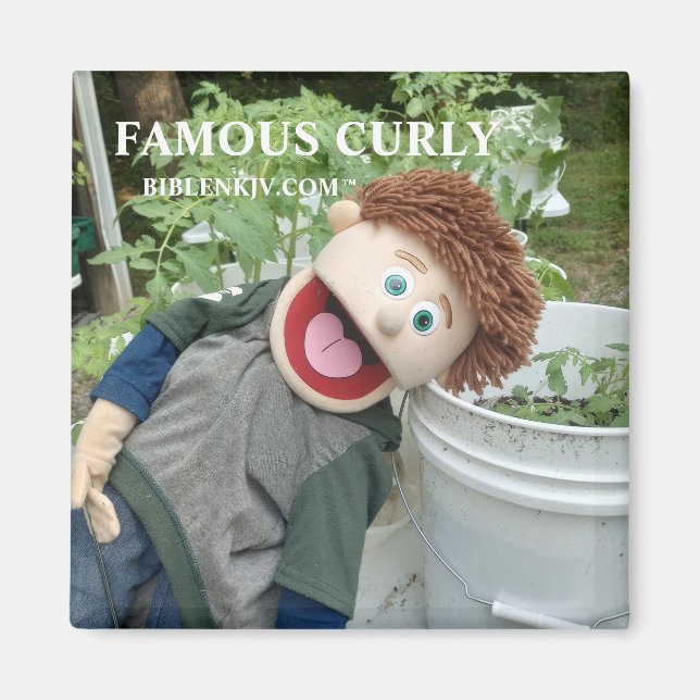 BIBLENKJV.COM™ 🛐 #MAGNET MAGNET (Front)