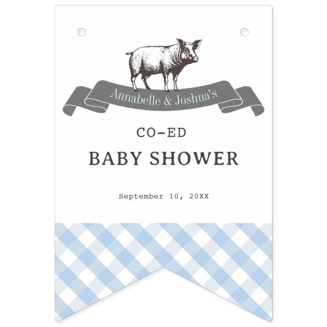 Bibs & Ribs BBQ Rustic Blue Gingham Baby Shower Bunting (Second Flag)