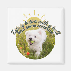 Bichon & Ball Dandelion Days Magnet