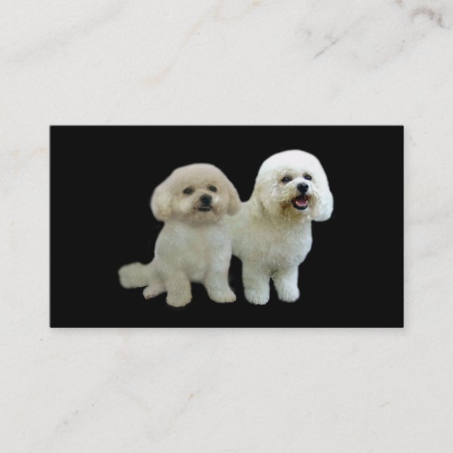 Bichon Breeder Business Card (Front)