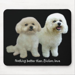 Bichon Buddies Mousepad