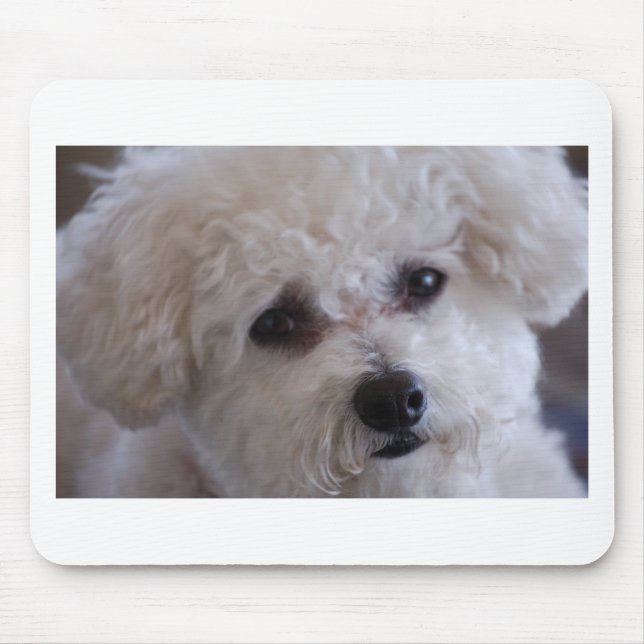 Bichon close up mouse mat (Front)