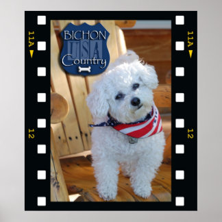Bichon country with negative frame poster