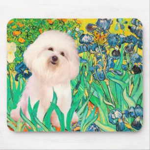 Bichon Frise 4  - Irises Mouse Mat