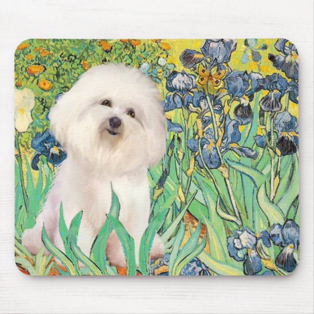 Bichon Frise 4  - Irises Mouse Mat (Front)