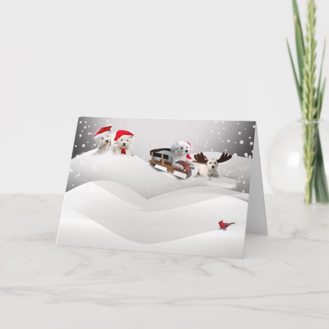 Bichon Frise A Merry Christmas Greeting Card (Front)
