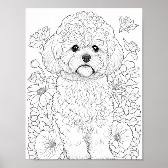Bichon Frise Adult Colouring Poster (Front)