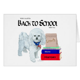 Bichon Frise Back to School