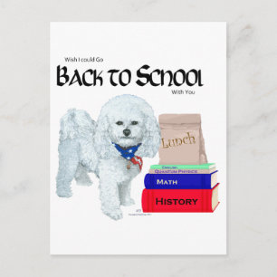 Bichon Frise Back to School Postcard