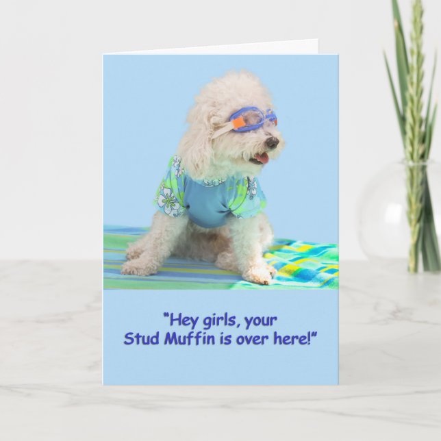 Bichon Frise Birthday Card (Front)