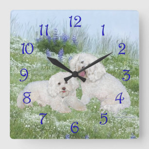 Bichon Frise Bluebonnets Square Wall Clock