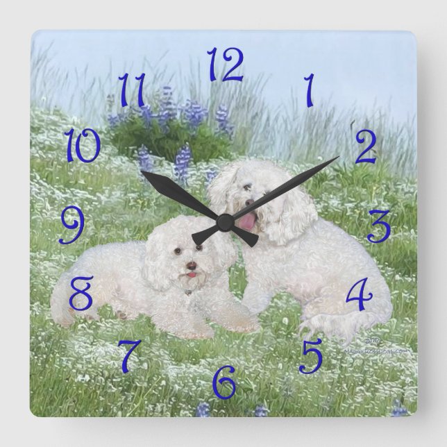 Bichon Frise Bluebonnets Square Wall Clock (Front)
