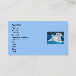 Bichon Frise Buddy Business Card