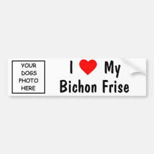 Bichon Frise Bumper Sticker