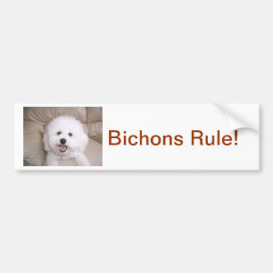 Bichon Frise Bumper Sticker