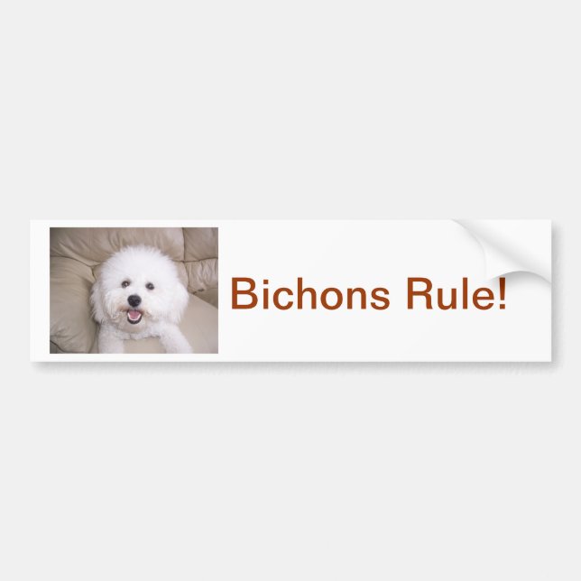 Bichon Frise Bumper Sticker (Front)