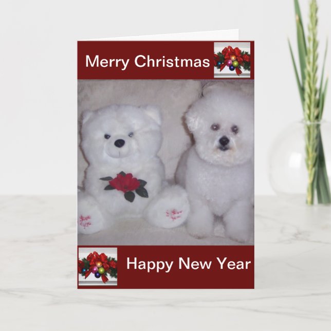 Bichon frise christmas card (Front)