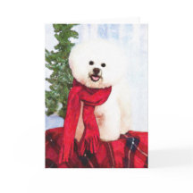 Bichon Frise Christmas Card