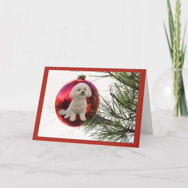 Bichon Frise Christmas Card Ball Hanging (Front)