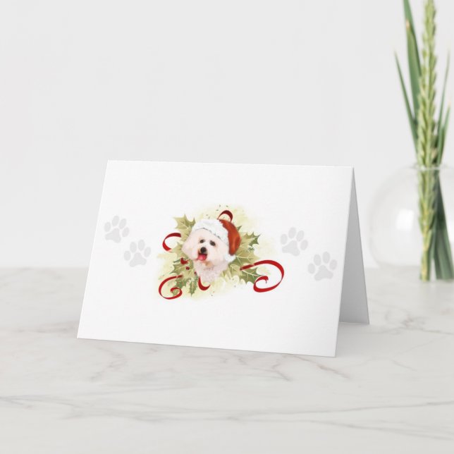 Bichon Frise Christmas Cards (Front)