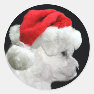 Bichon Frise Christmas Classic Round Sticker