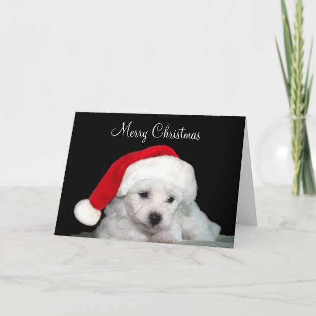 Bichon Frise Christmas Holiday Card (Front)