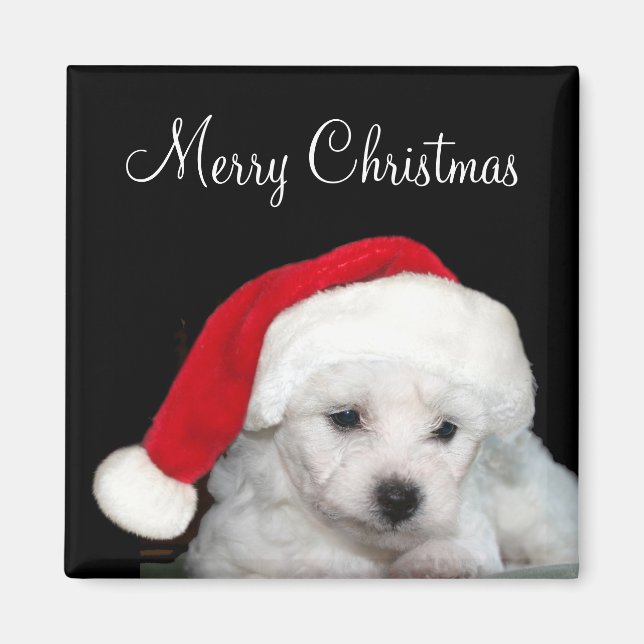 Bichon Frise Christmas Magnet (Front)