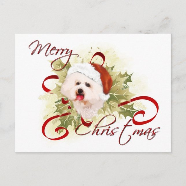 Bichon Frise Christmas Postcards (Front)