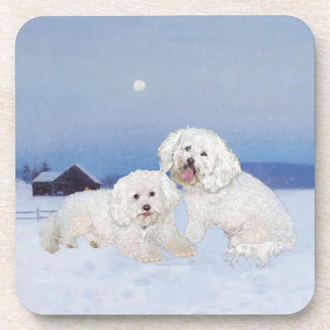 Bichon Frise December Evening Coaster (Front)