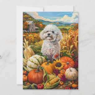 Bichon Frise Dog Autumn Harvest Thanksgiving Holiday Card