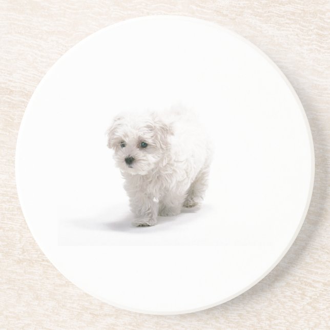 Bichon Frise Dog Coaster (Front)