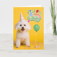 Bichon Frise Dog in Party Hat on Yellow Birthday