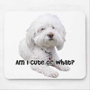 Bichon Frise Dog Mouse Mat