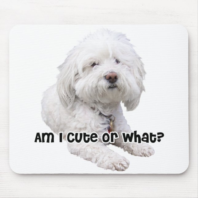 Bichon Frise Dog Mouse Mat (Front)