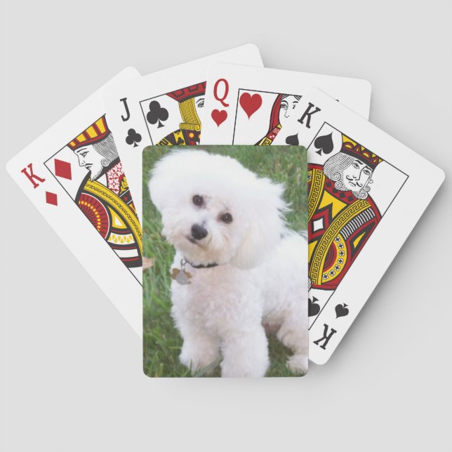 Bichon Frise Dog Playing Cards (Back)