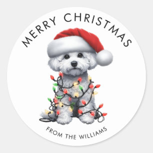 Bichon Frise Dog Wrapped In Christmas Light Classic Round Sticker