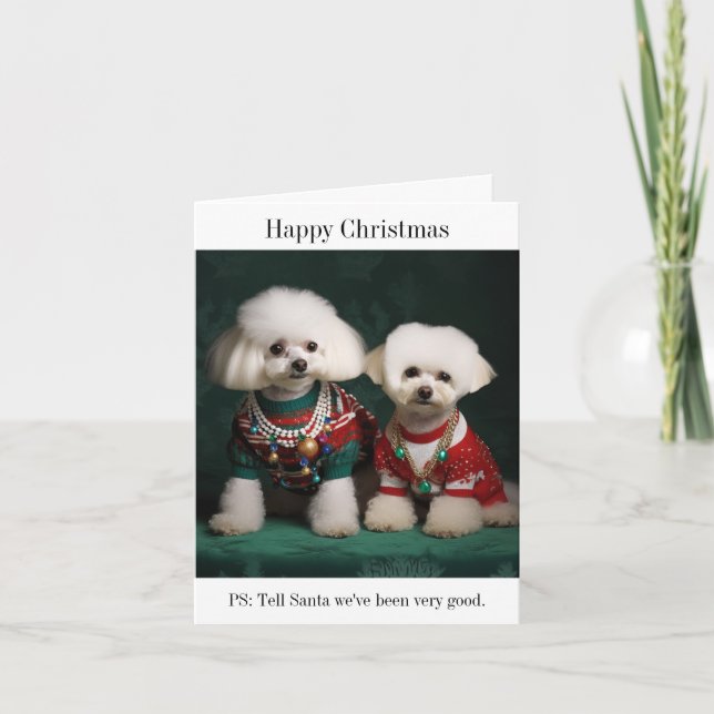 Bichon Frise Dogs in Christmas Sweaters Card (Front)