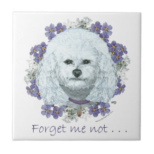 Bichon Frise - Forget Me Nots Tile