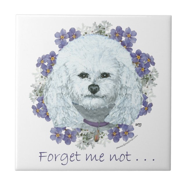 Bichon Frise - Forget Me Nots Tile (Front)