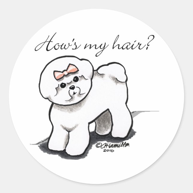 Bichon Frise Hows My Hair Classic Round Sticker (Front)