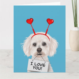 Bichon Frise "I Love You" Valentines Card
