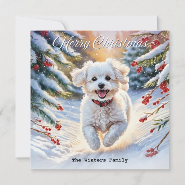 Bichon Frise in Snow Cute Dog Winter Christmas Holiday Card (Front)