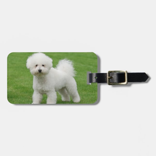 Bichon Frise Luggage Tag (Front Horizontal)