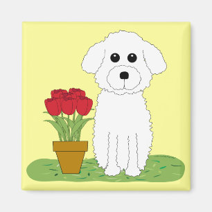 Bichon Frise Magnet
