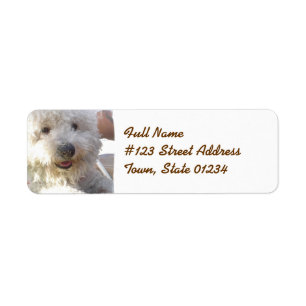 Bichon Frise Mailing Label
