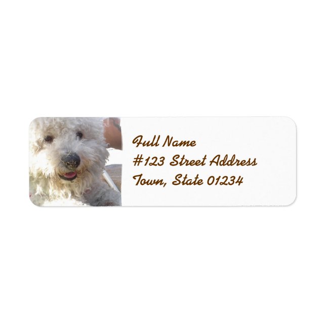 Bichon Frise Mailing Label (Front)