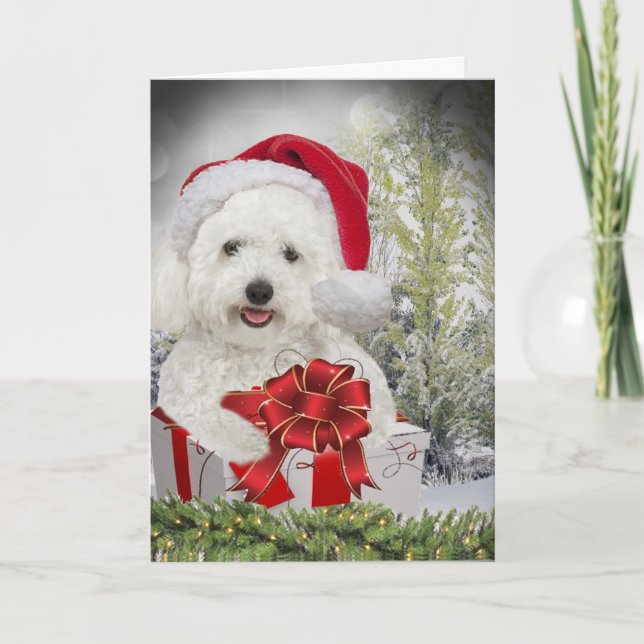 Bichon Frise Merry Christmas Holiday Card (Front)