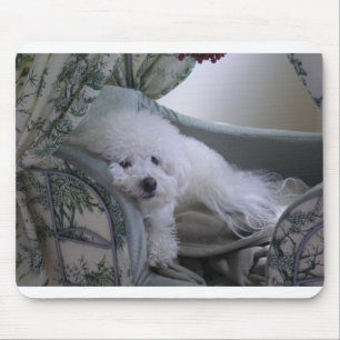 BICHON FRISE MOUSE MAT