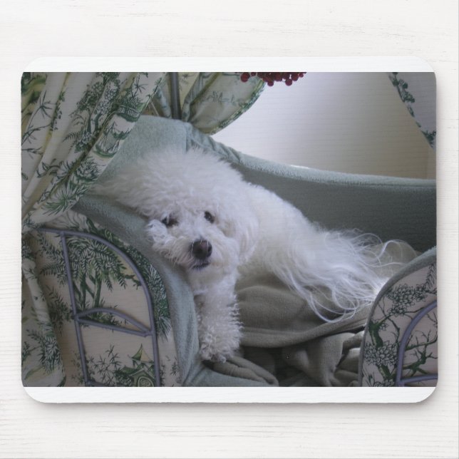 BICHON FRISE MOUSE MAT (Front)