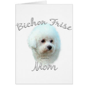 Bichon Frise Mum 2